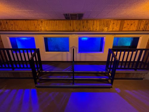 Inside the fish view room by Umatilla County Tourism/Eastern Oregon Visitors Association