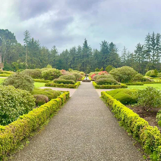 Pathway through a formal garden with manicured hedges and flowering shrubs, bordered by evergreen trees beneath a cloudy sky.