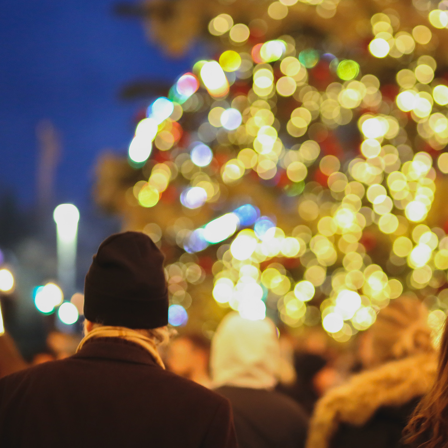 Holiday lights on a tree fuzzed up and the back shoulders of a man wearing a dark beaning hat looking on.