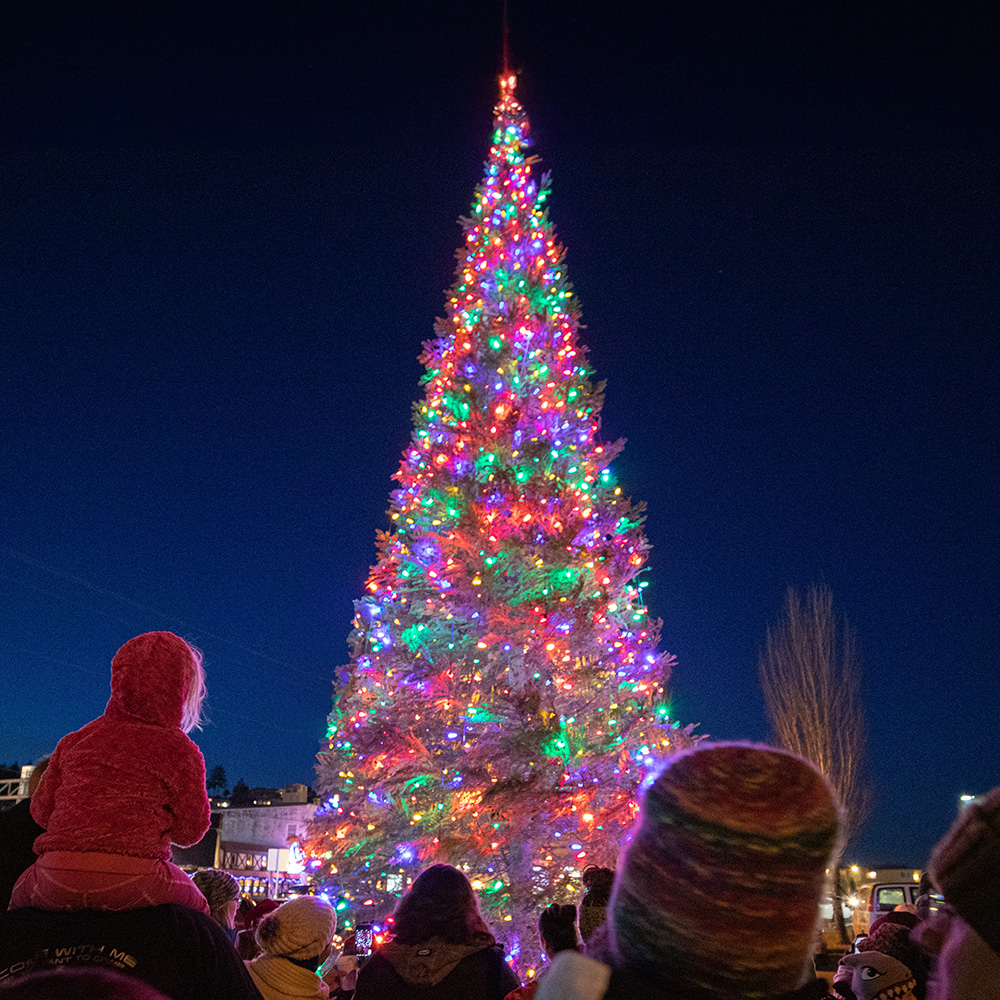 a very tall outdoor christmas tree at night light up in holiday lights