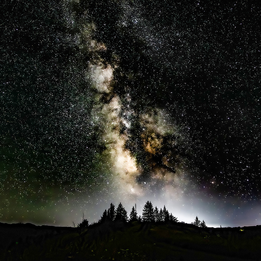 Milky Way galaxy glowing brightly in the night sky above a silhouette of trees.