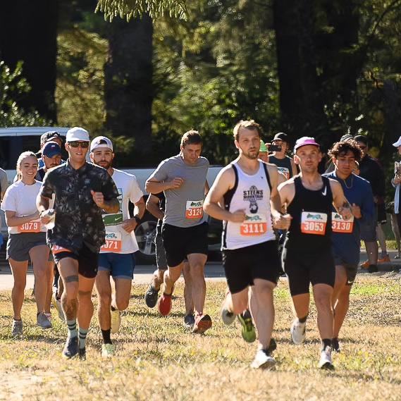 A group of runners participate in a trail race during the day.