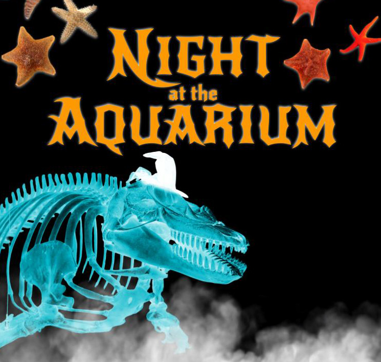 night-at-aquarium.jpg