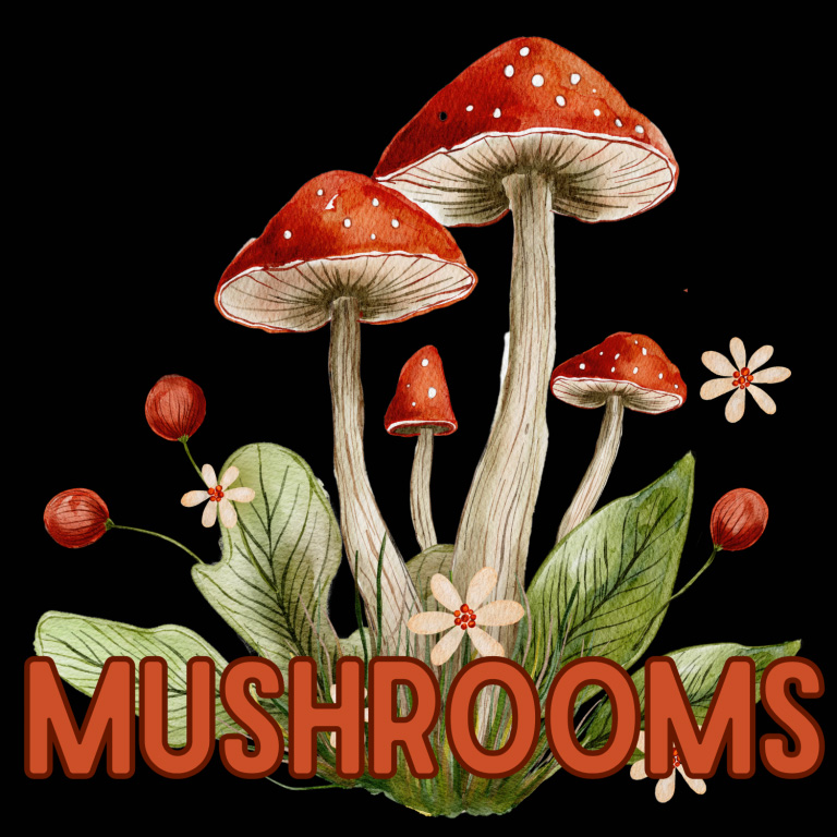 fanciful paining of large and small mushrooms on a black background