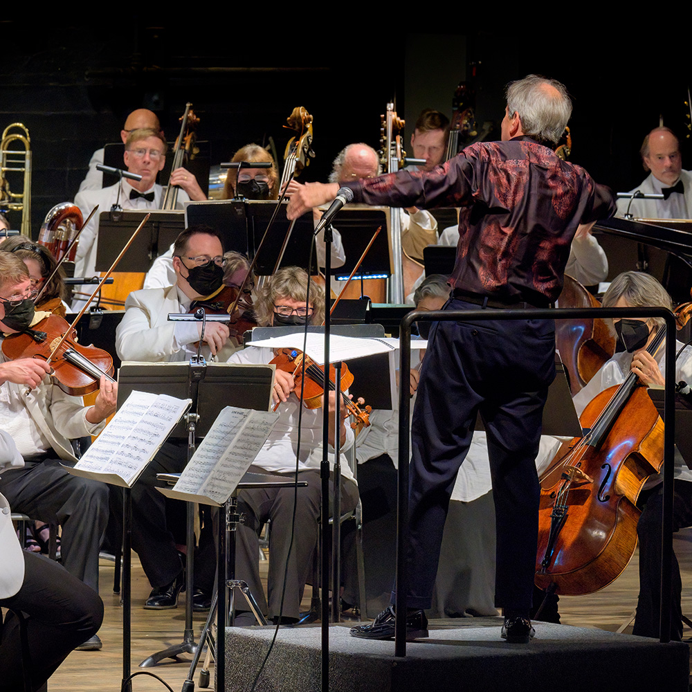 string instrument orchestra players being conducted by a maestro