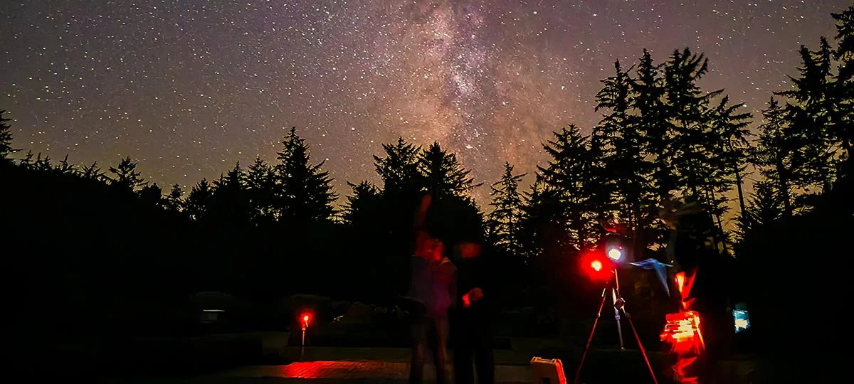 mobile-starfield.jpg