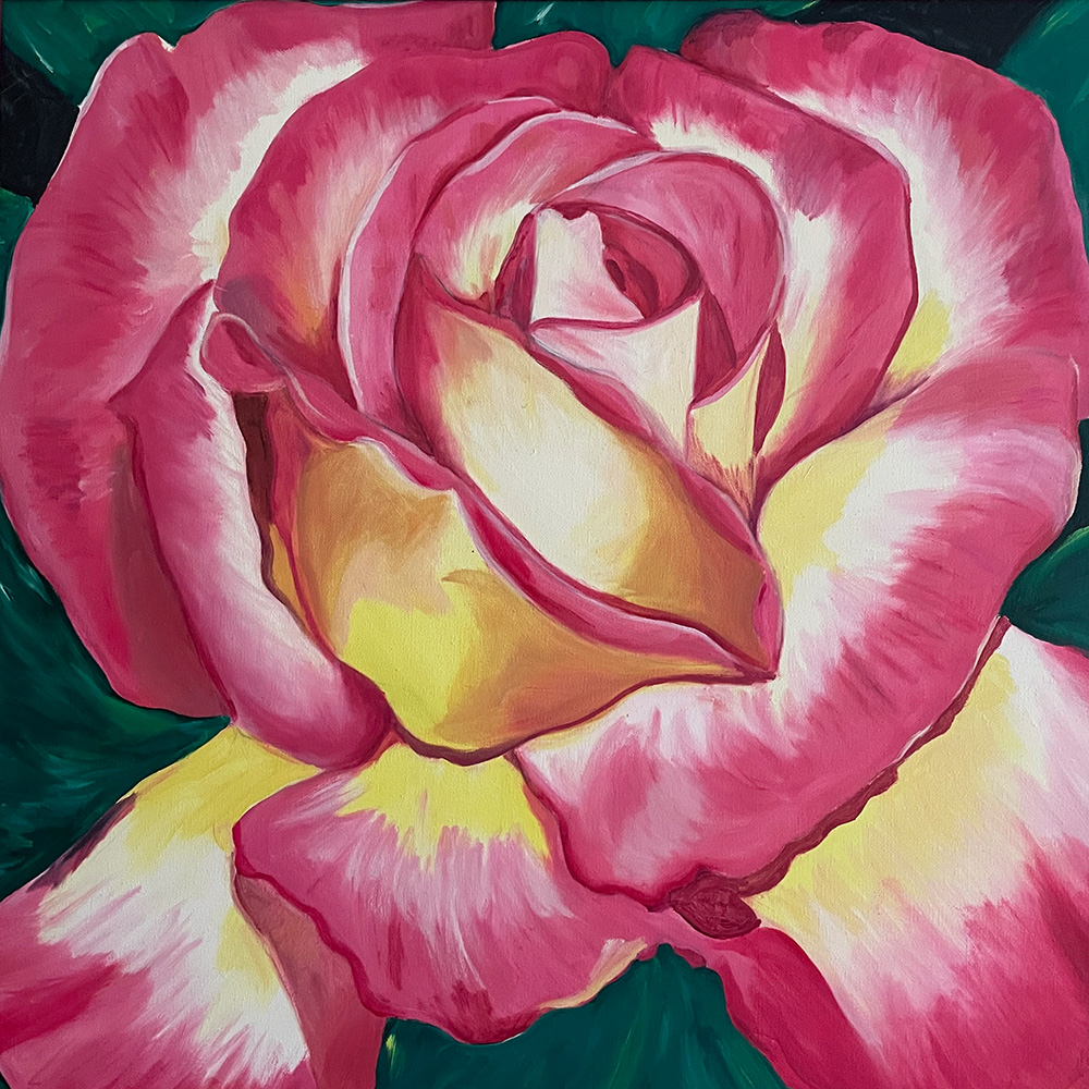 Close-up painting of a large pink-and-cream rose in bloom with layered petals filling the frame against a dark green background.