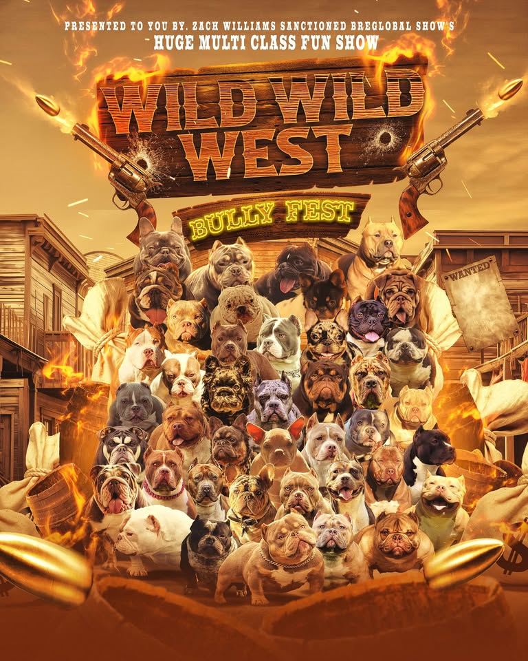 group of dogs on a western themed poster