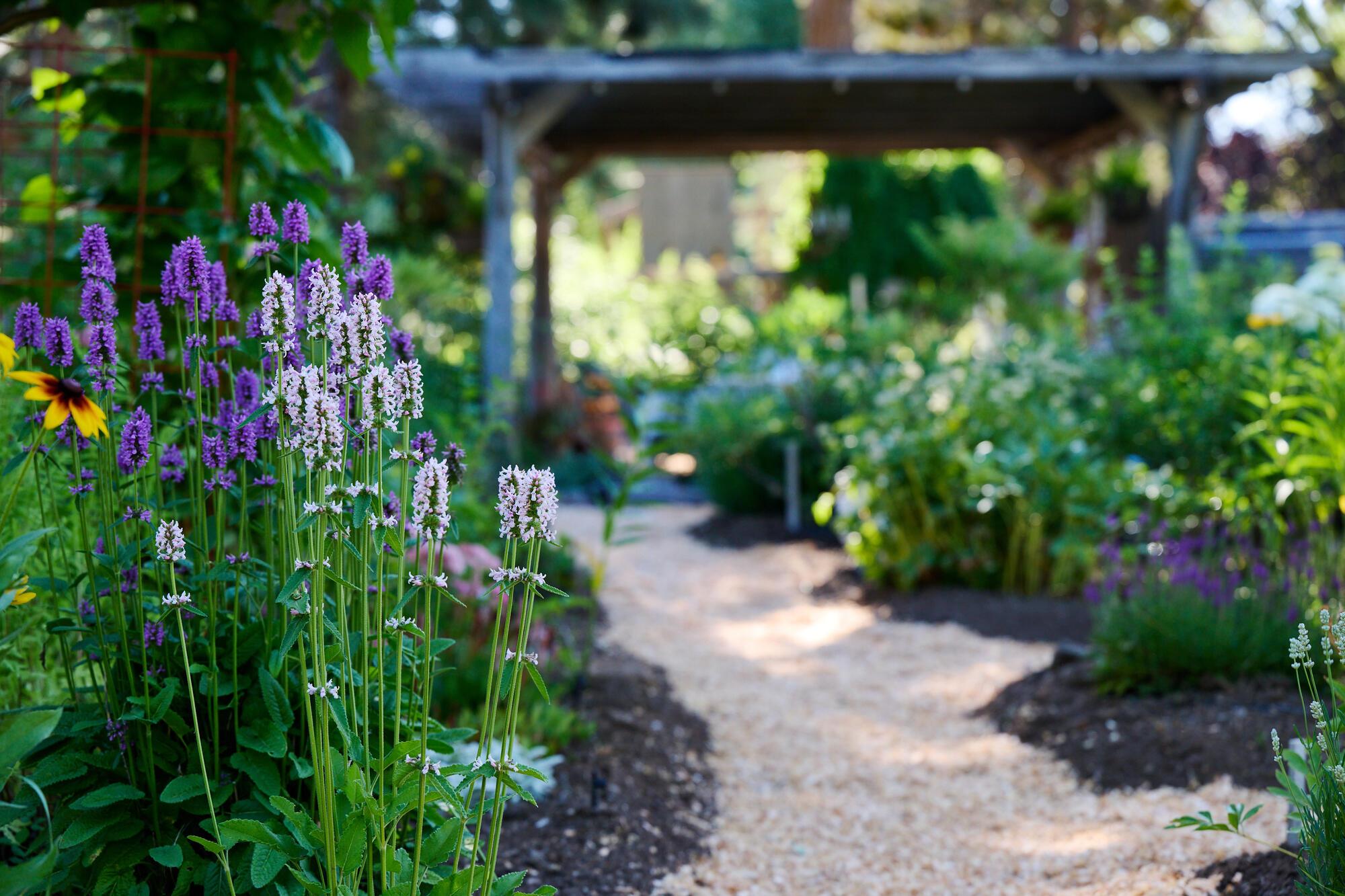 High Desert Garden Tour