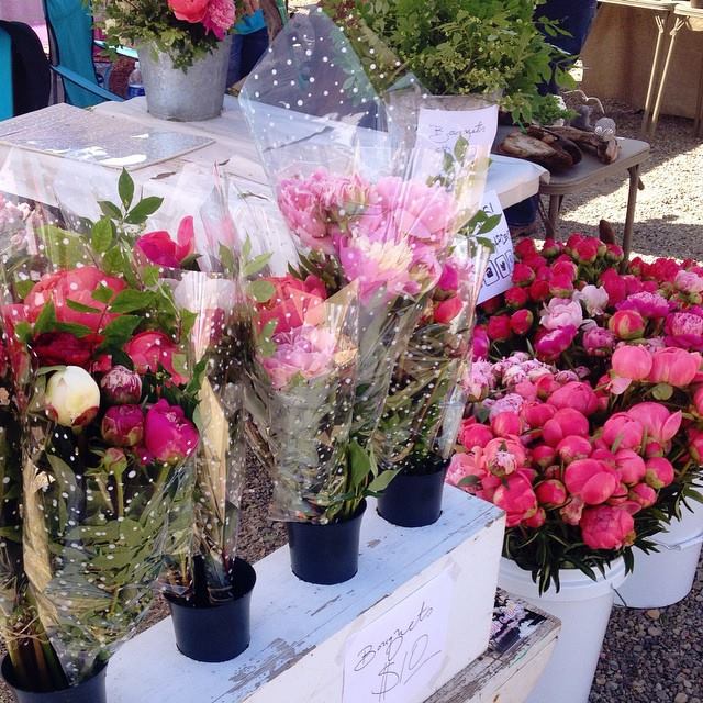 bouquets of Peonies