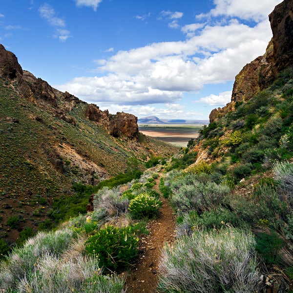 Pike Creek Trail