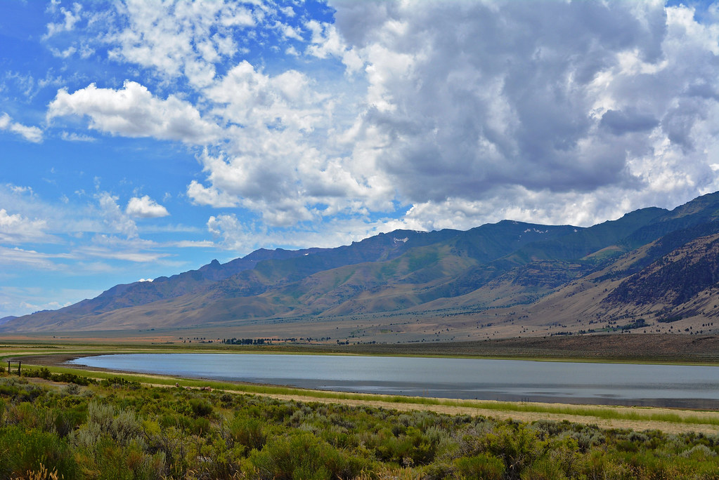 Mann Lake