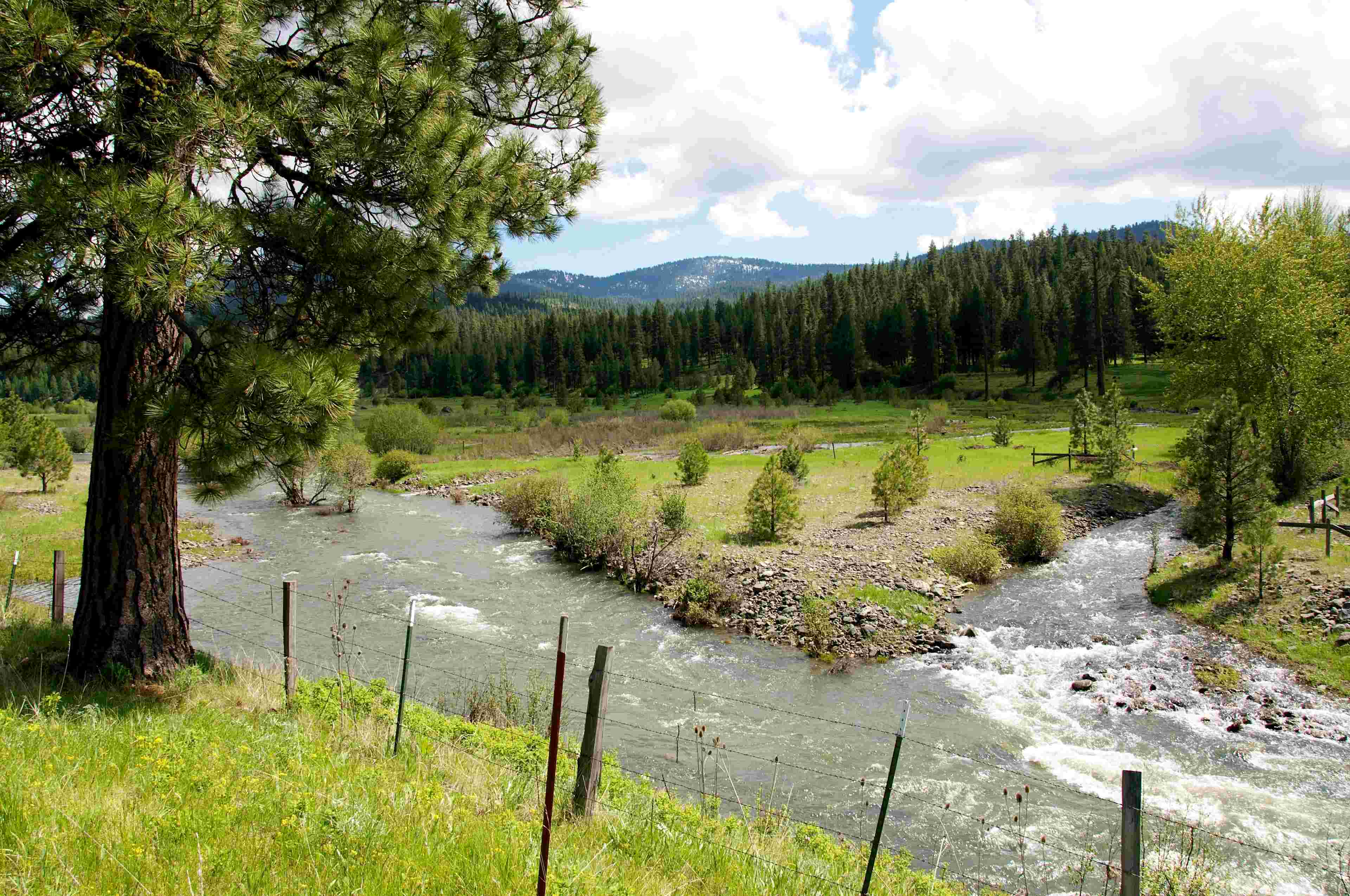 Emigrant Campground