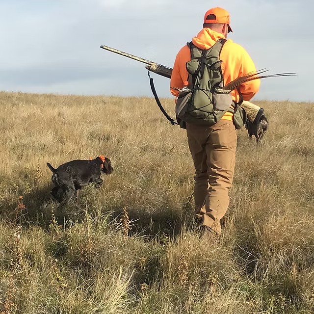 Bachman Bay Outfitters