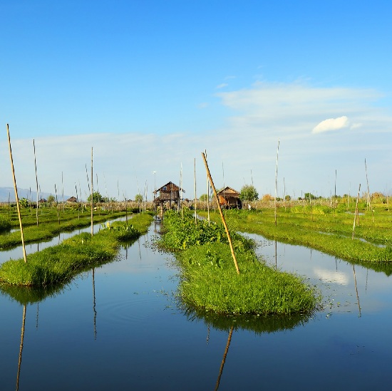 Landscape of wetland farmlands with homes in the background