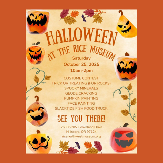 Halloween at the Rice Museum