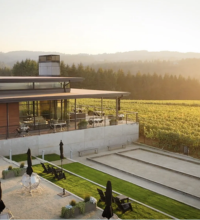 Ponzi's bocce court and vineyard