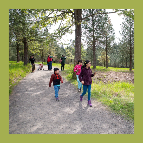 Family walking on a trail, scanning the perimeter of the forest