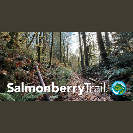 Salmonberry Trail Nature Walk: Get Outside for Black Friday