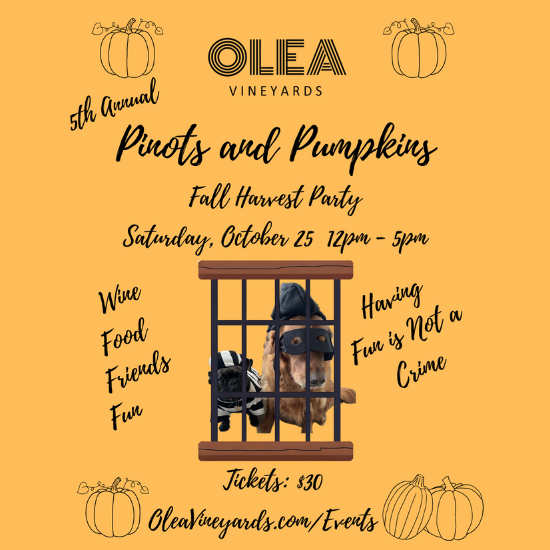 Olea Vineyards Pinots and Pumpkins 5th Annual Fall Harvest Party