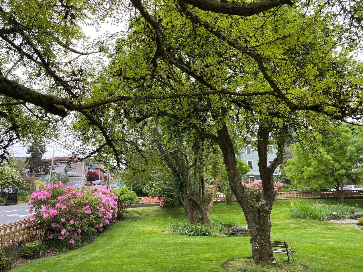 Flavel House garden OTIS.jpg