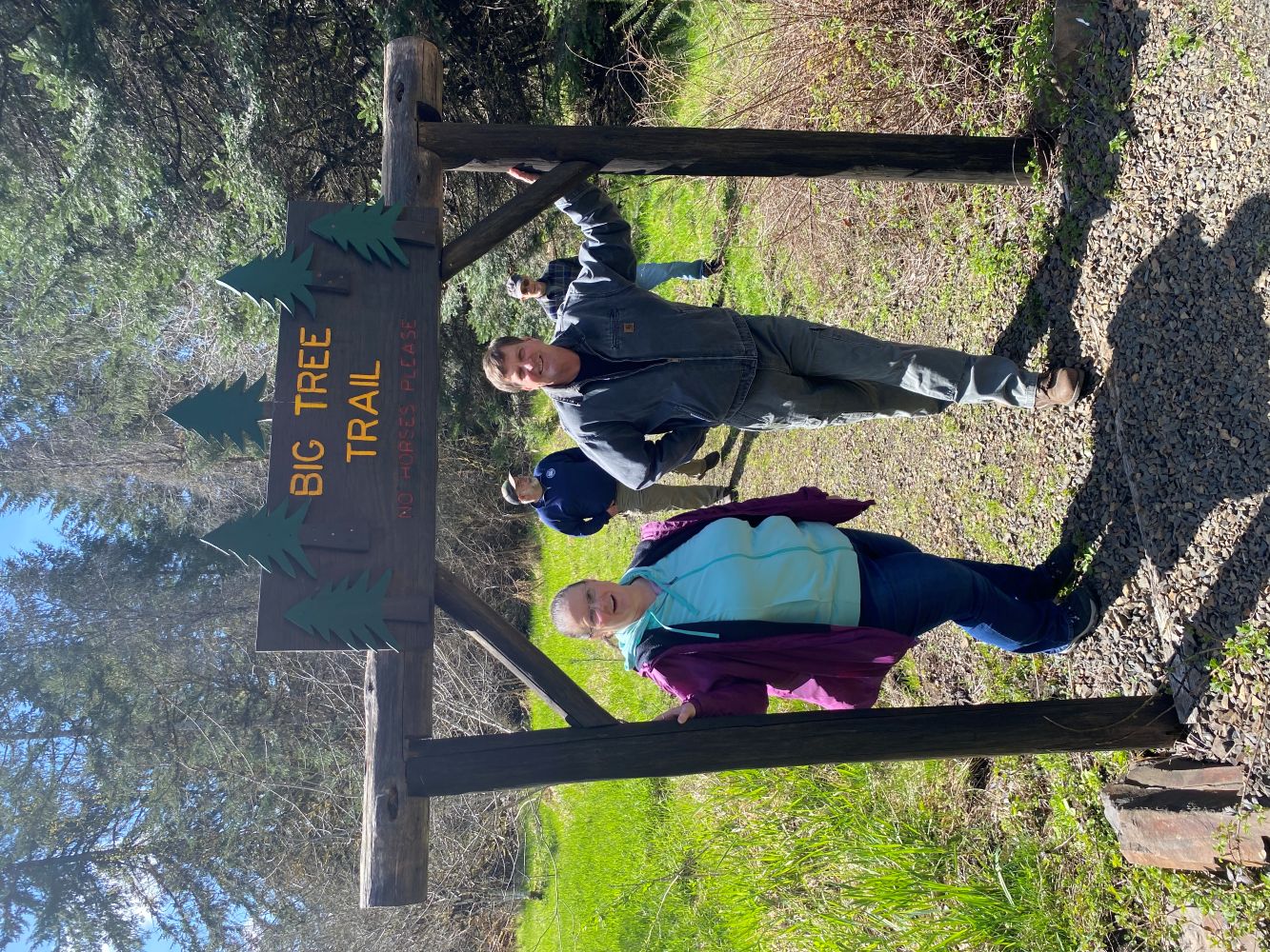 Northrup Creek Big Tree Trail