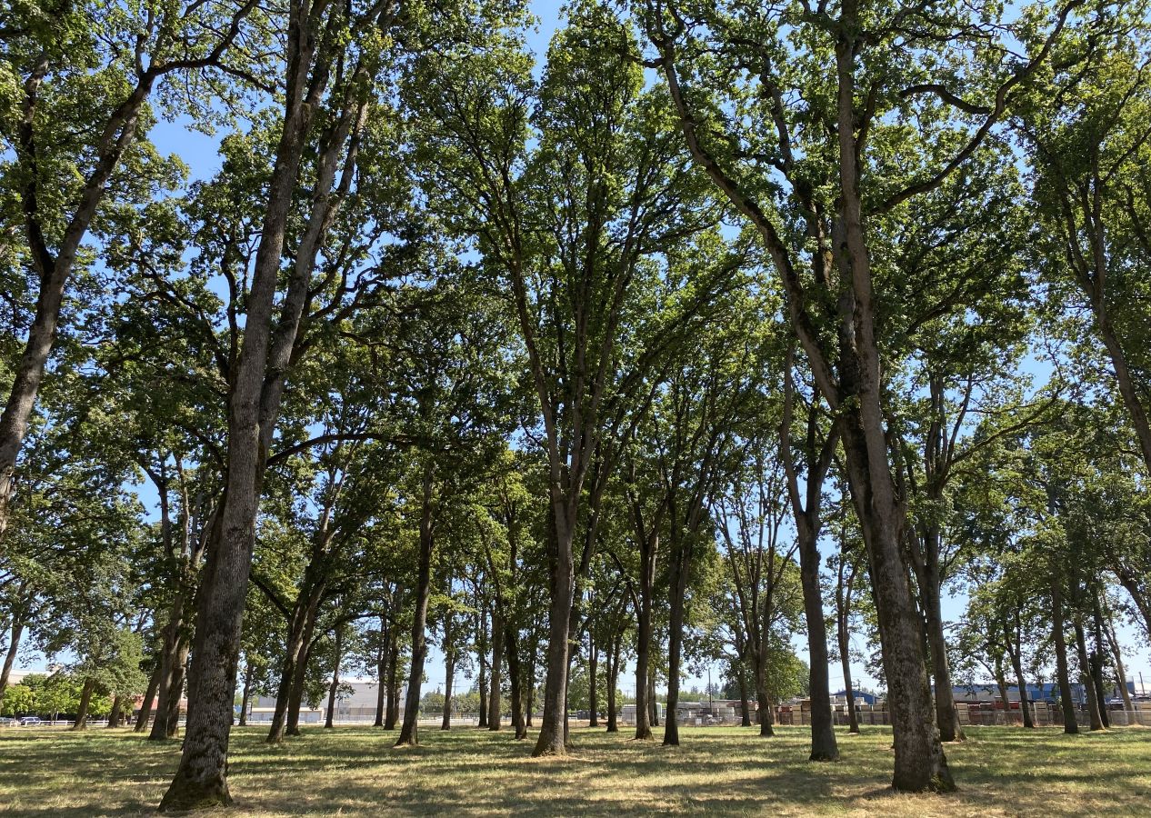 State Fairgrounds Oak Grove