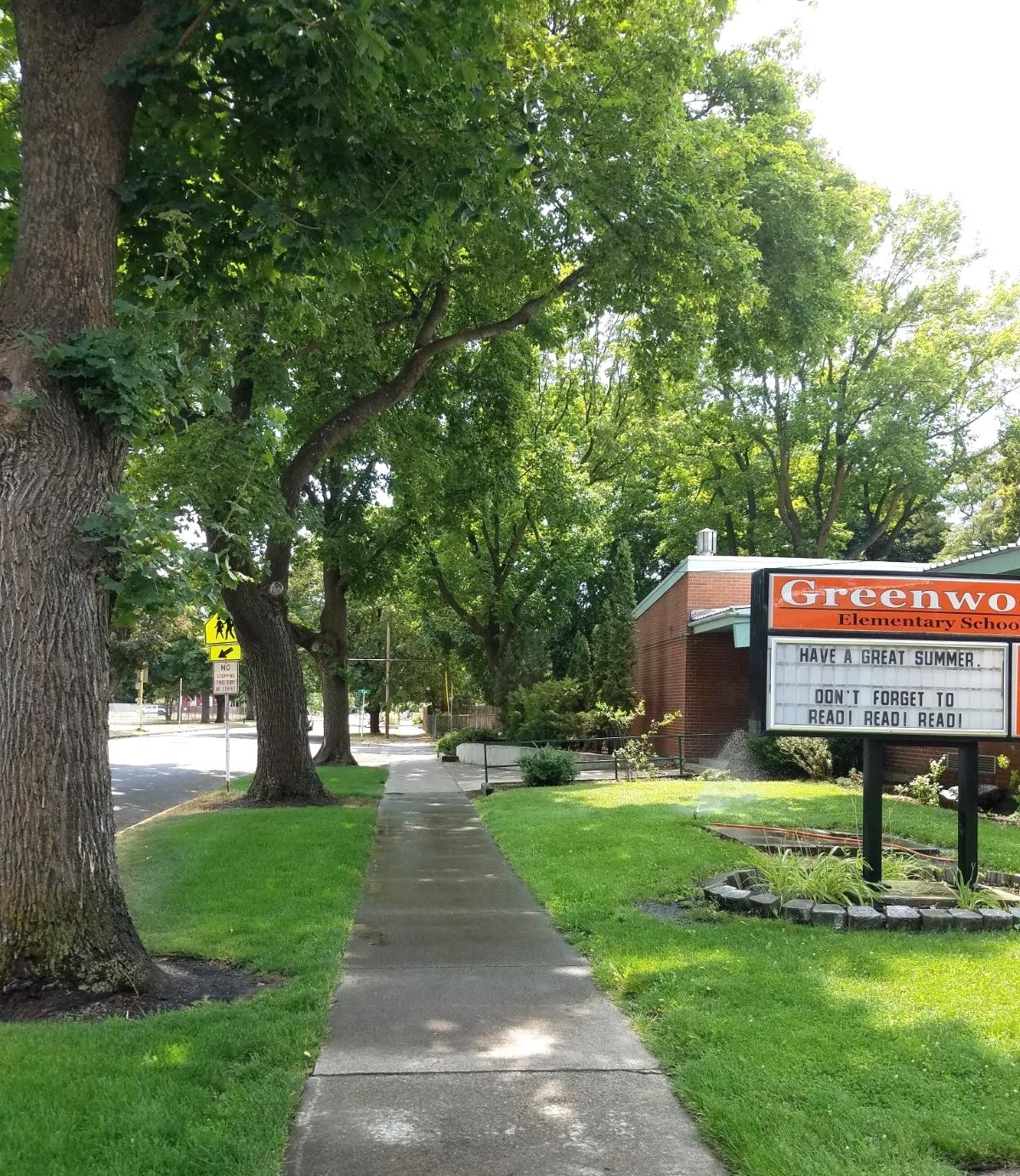 Victory Way Norway Maples