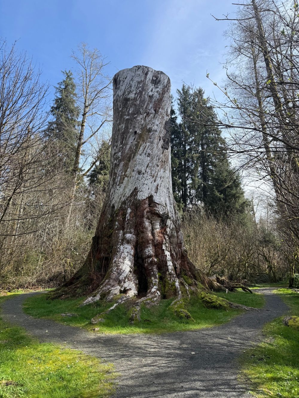 Klootchy Creek Vertical OTIS.jpg