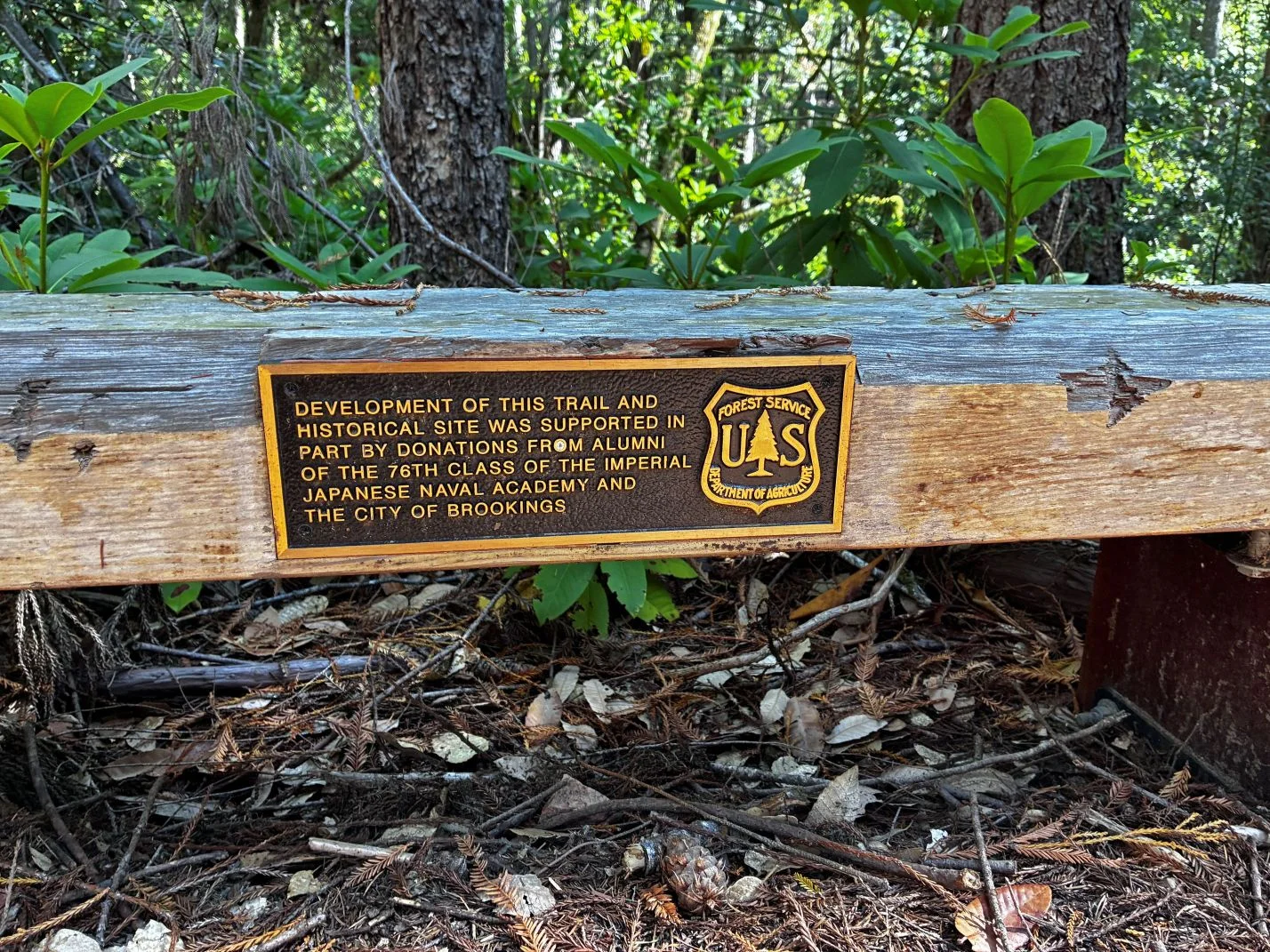 Wood bench with Forest Service plaque attached.