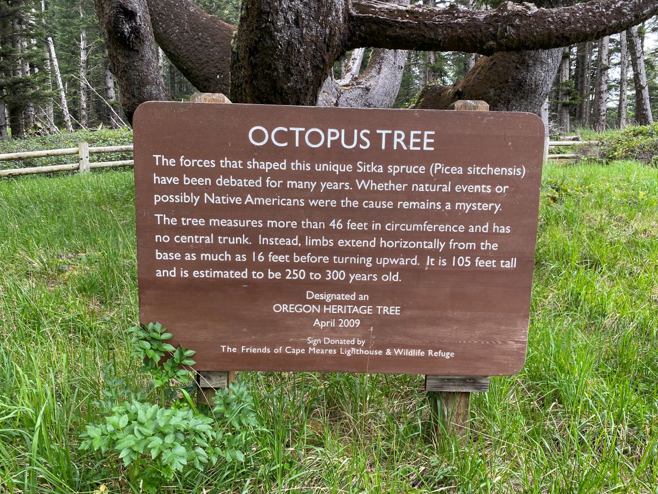 Heritage sign OTIS.jpg