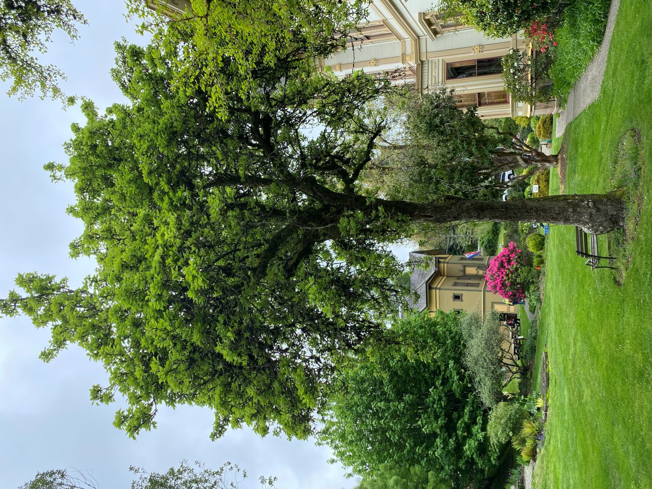 Flavel House garden side OTIS.jpg