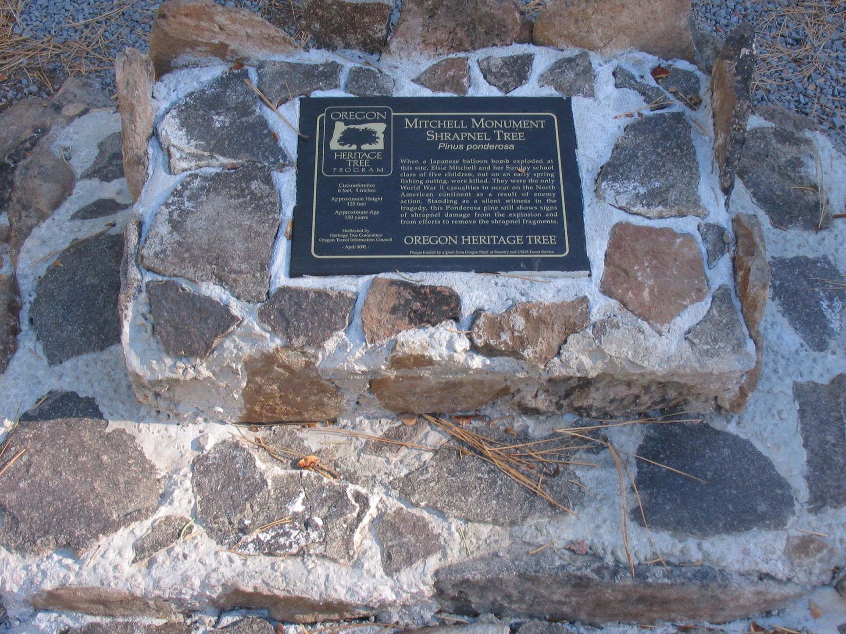 Mitchell Monument Shrapnel Tree