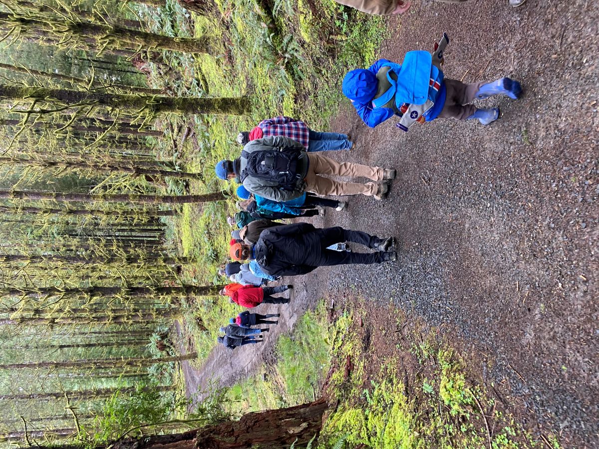 West Yaquina Sitka Spruce