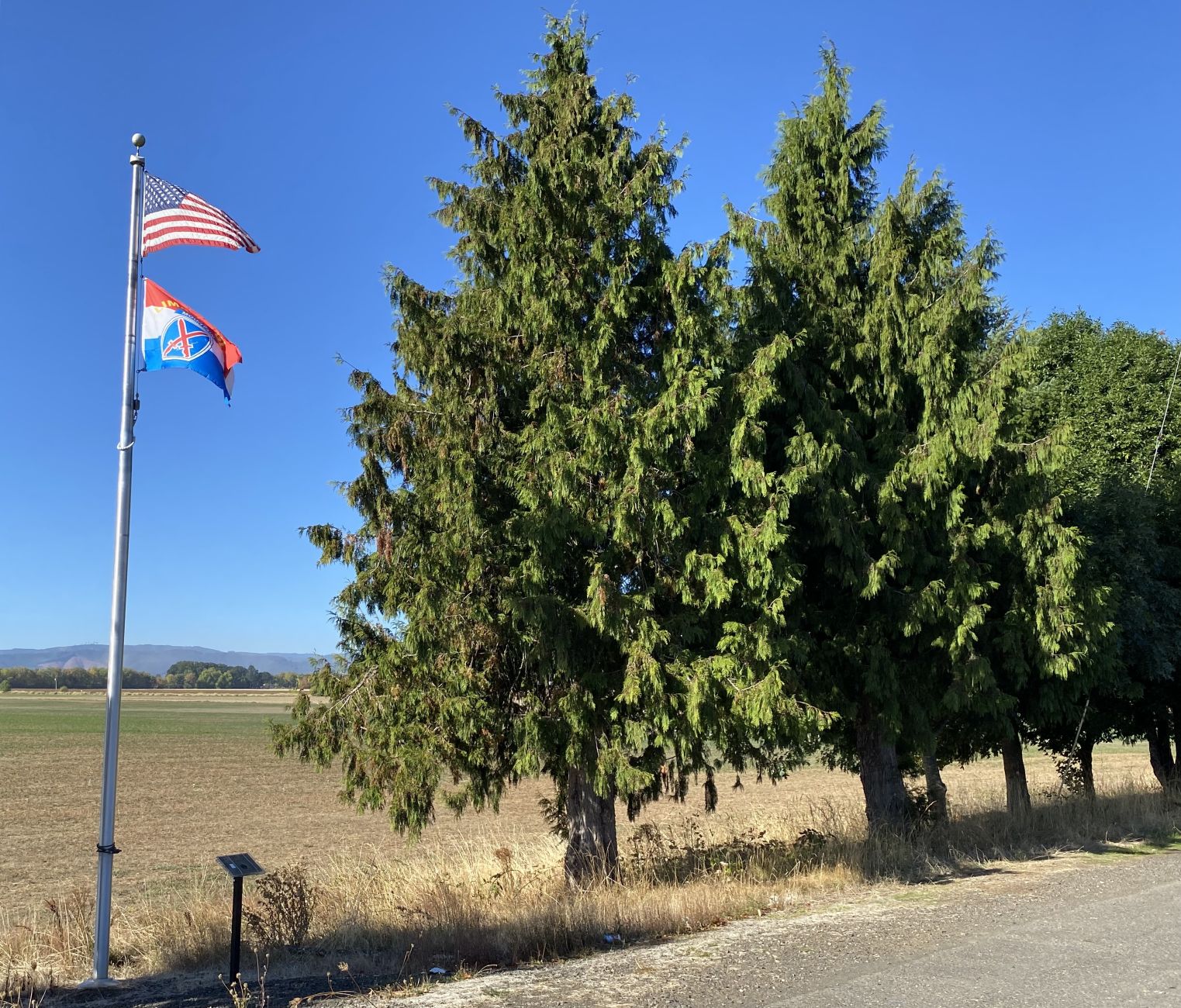 10th Mountain Division Memorial Grove