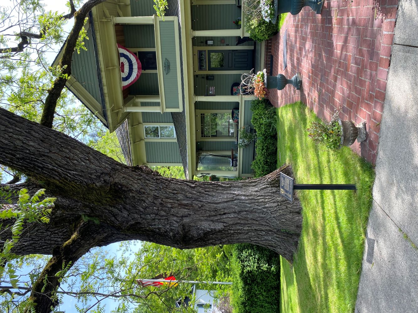 heritage tree trunk and sign in front of historic home