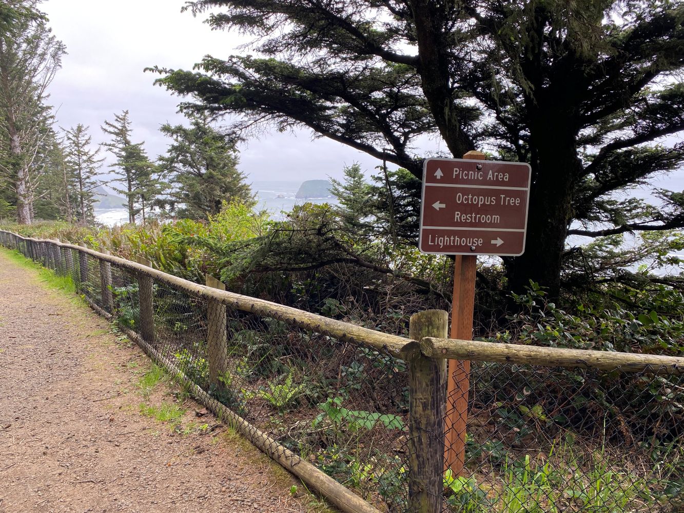 Signage OTIS.jpg