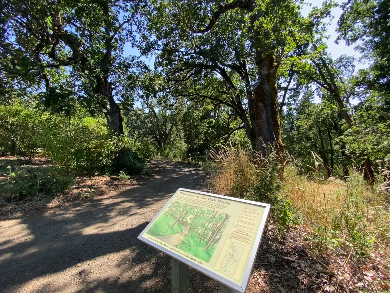 Oak Grove Entrance