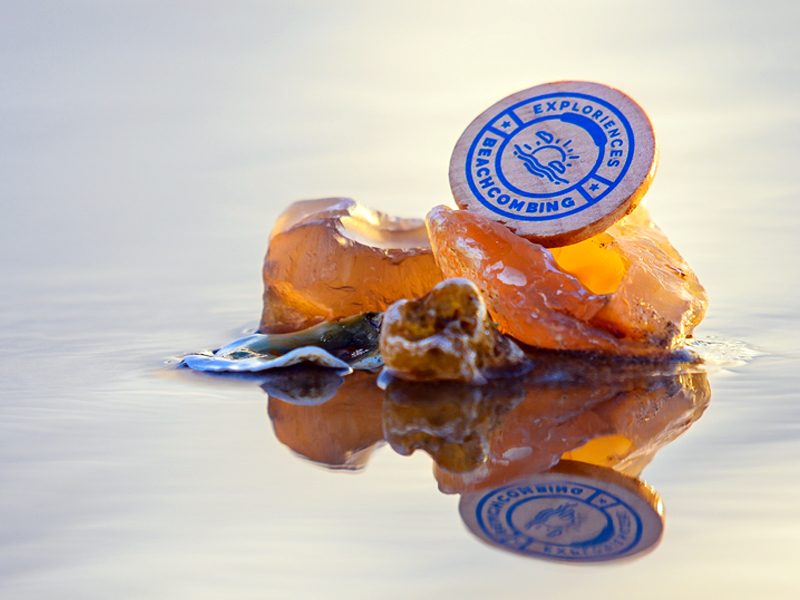 BeachcombingExplorience-3.jpg