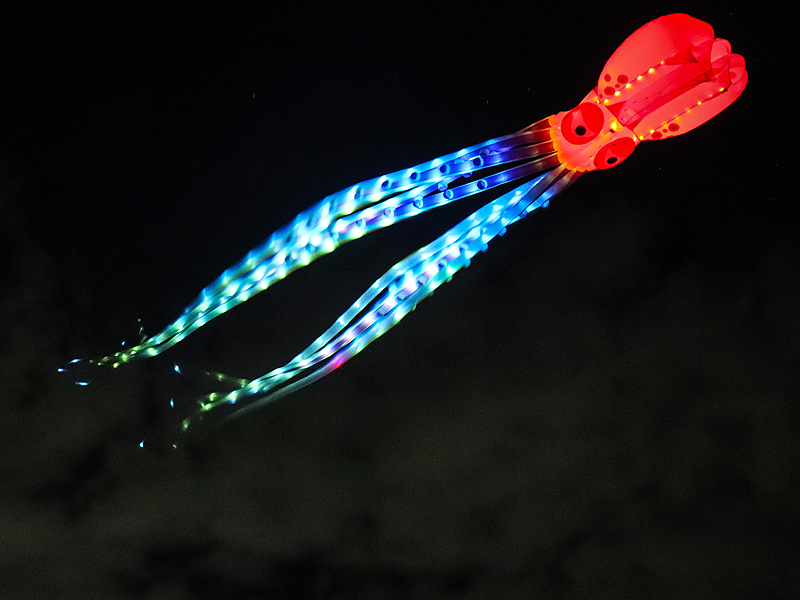 Kite-Night-1.jpg