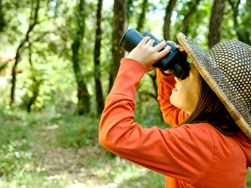 Person in orange shirt and tan hat using binoculars to look up into the trees.