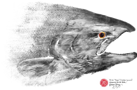 Salmon.jpg
