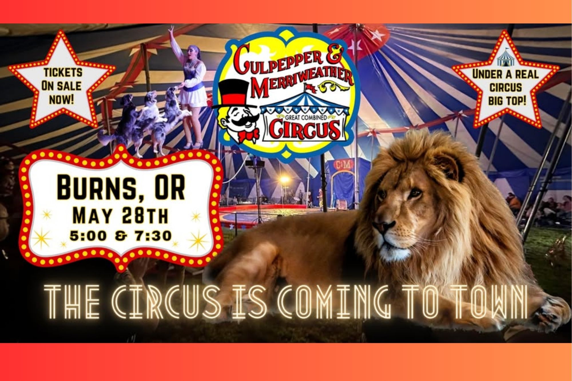 C & M Circus