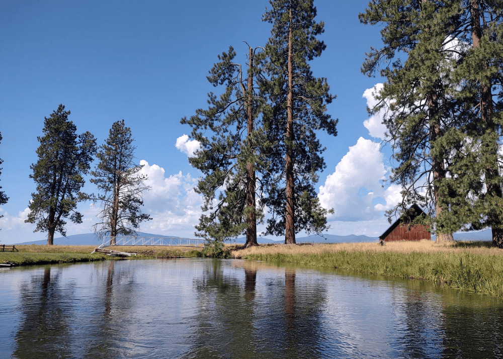 Basin Paddletramps is a unique guide service!