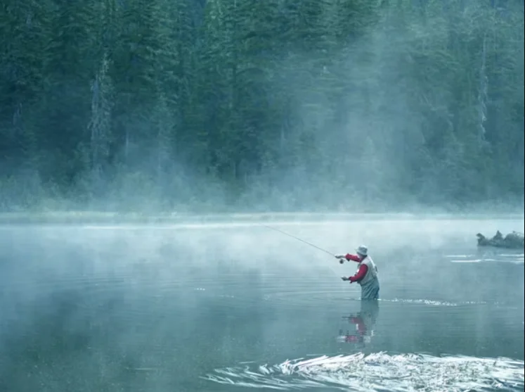 FlyFish