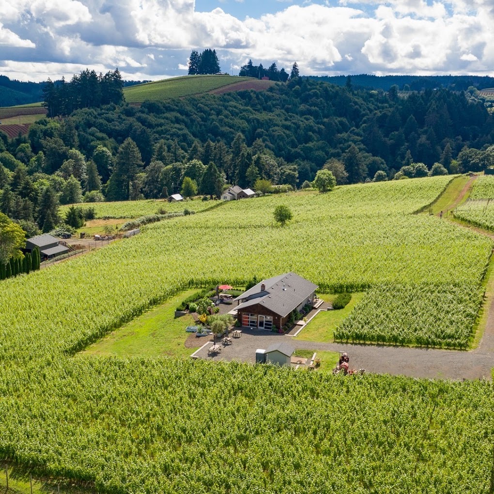 aerial view of the estate and vineyard