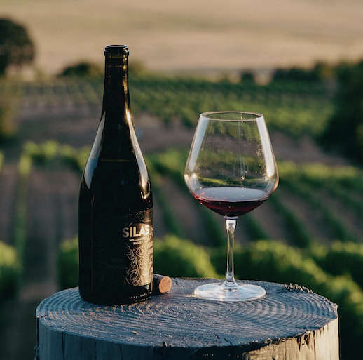 Bottle of red wine and poured glass on a stump with vineyard in the background