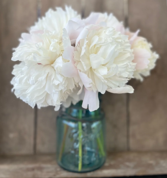 Mason jar with bouquet of creamy white peonies touched with pink edges