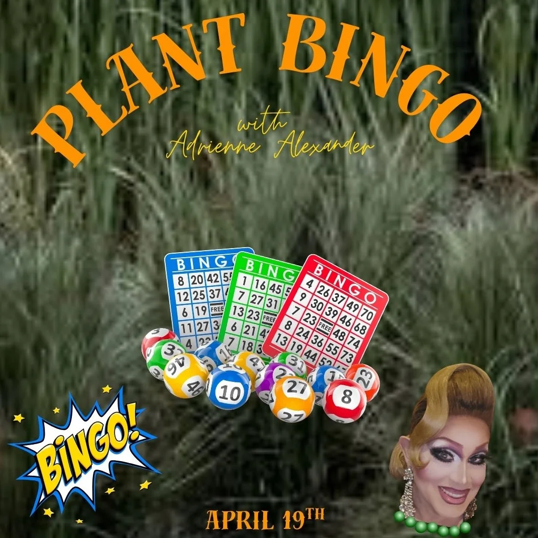 Image for Plant Bingo and Wine