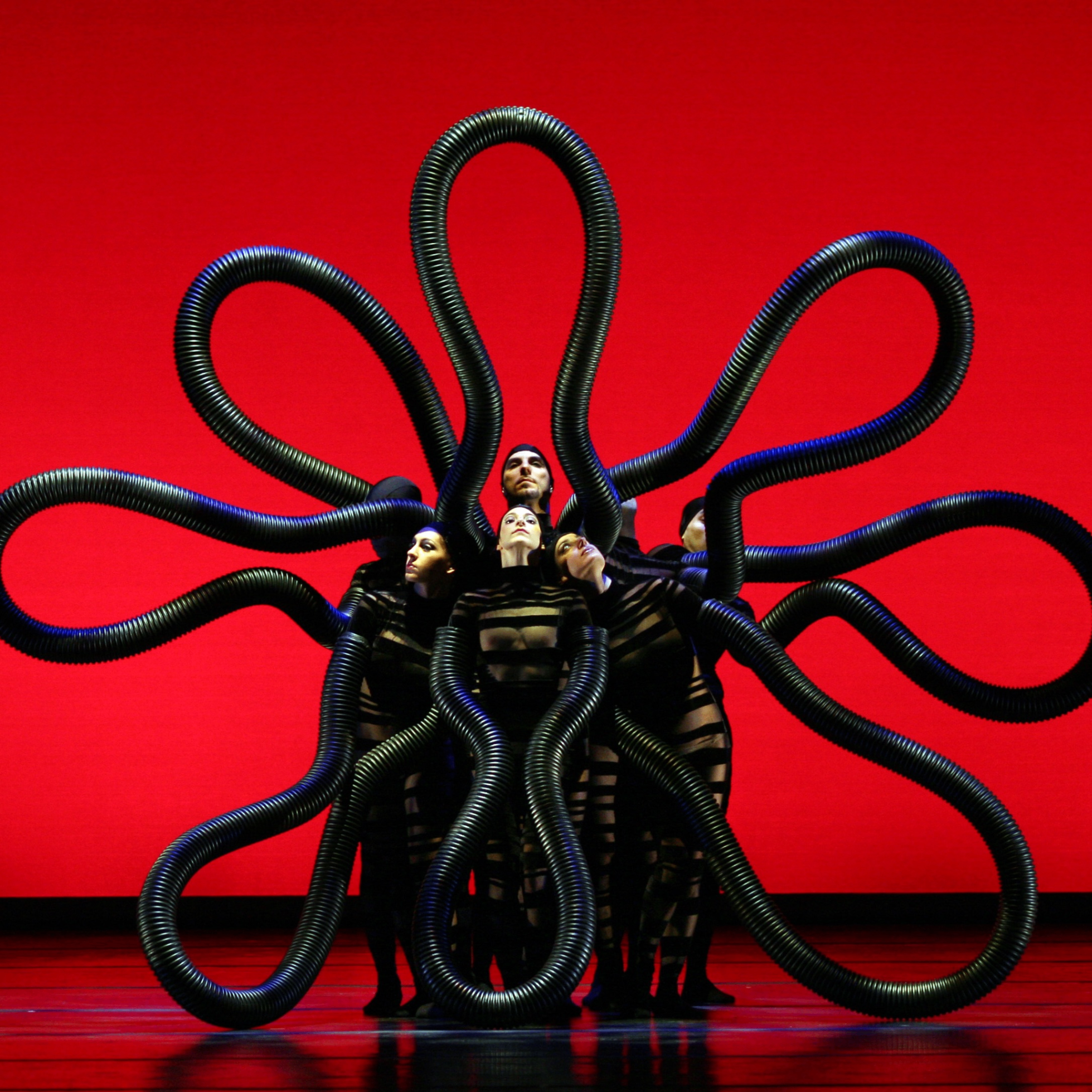 Image for White Bird Presents: MOMIX